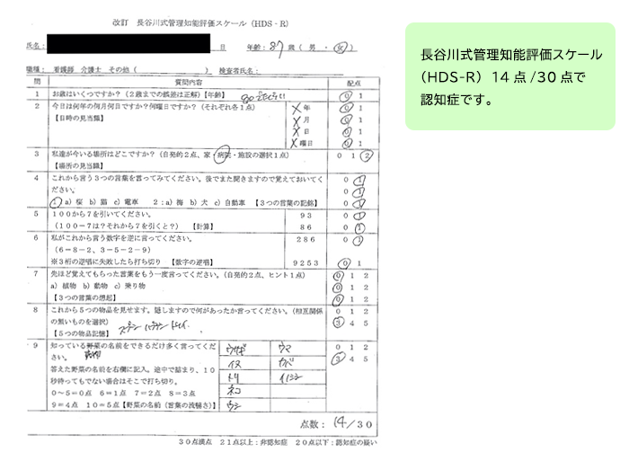 長谷川 式 認知 症 スケール 点数